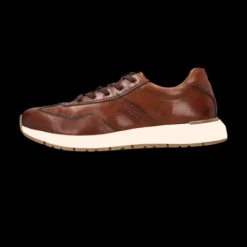 Salamander Cognac Leather Trainer|E31ASA0563