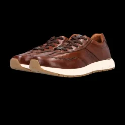 Salamander Cognac Leather Trainer|E31ASA0563
