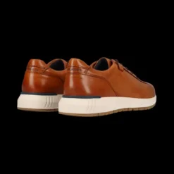 Salamander E31ASA0163- Trainer.