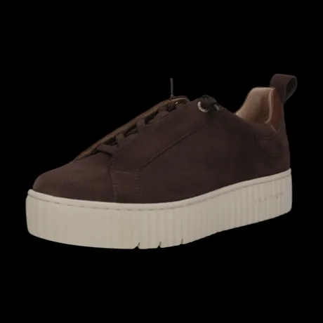 Salamander F31ARP0361- Trainer.