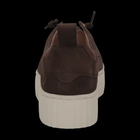 Salamander F31ARP0361- Trainer.