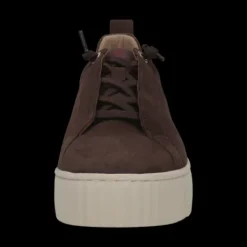 Salamander F31ARP0361- Trainer.