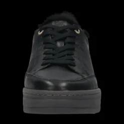 Salamander F31AUR0110- Trainer.