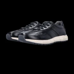 Salamander Navy Leather Trainer|E31ASA0541-