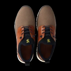 Salamander Taupe and Tan Trainer|E31ASB6052