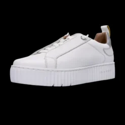 Salamander White Leather Platform Trainer|F31ARP0320