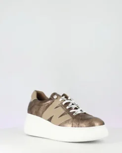 Wonders A2660TA- Trainer.