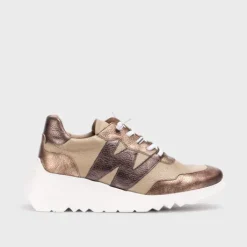 Wonders E6760TA-Trainer.