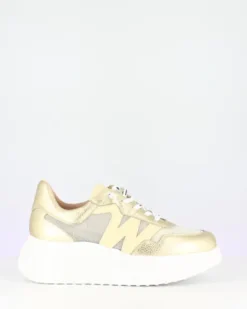 Wonders Gold Wedge Trainer|A3640P